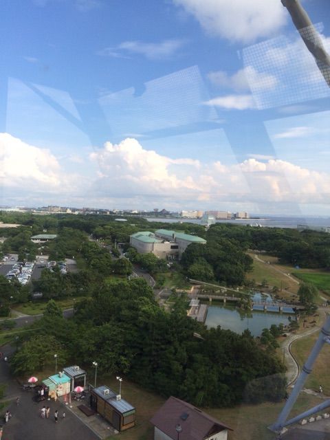 イメージ 3
