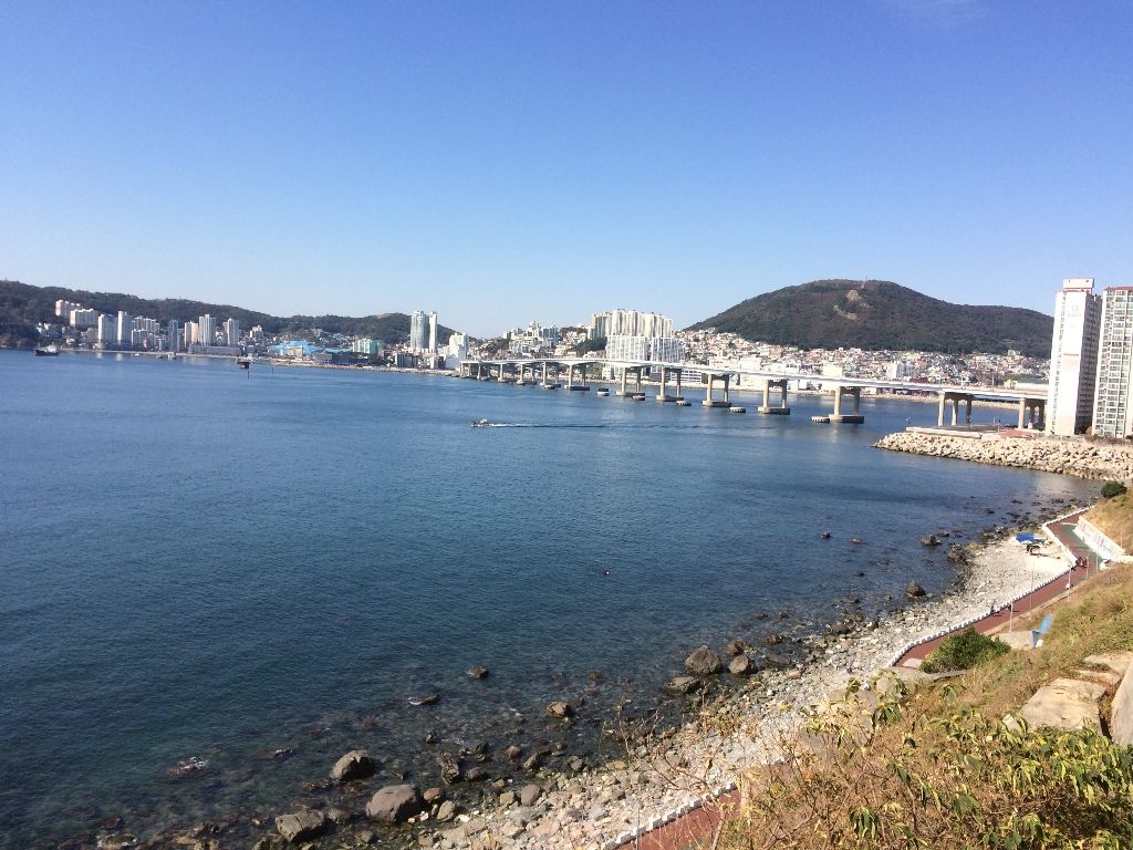 イメージ 6