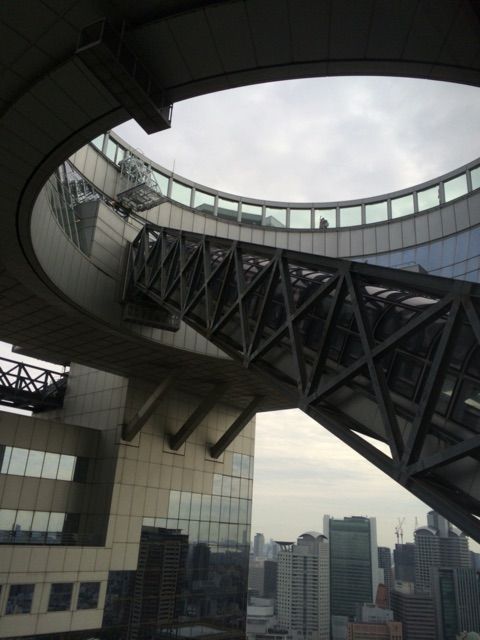 イメージ 8