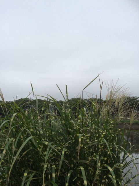 イメージ 8