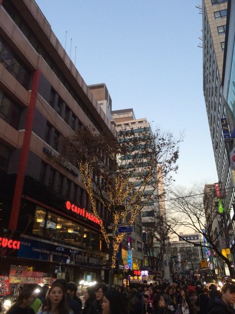 イメージ 8