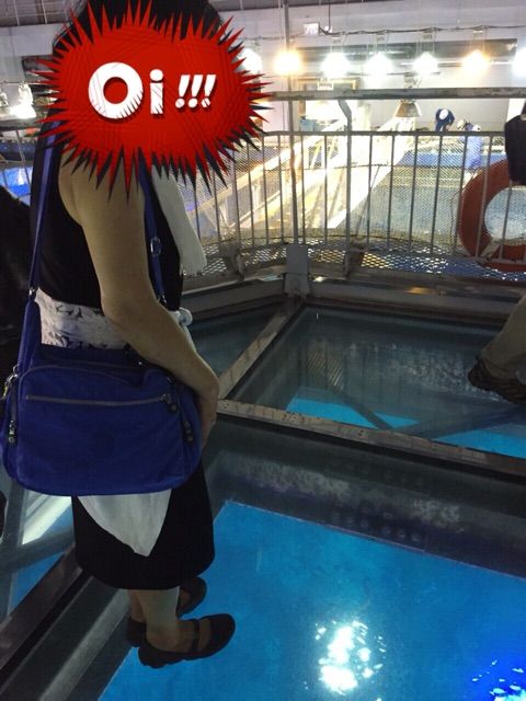 イメージ 14