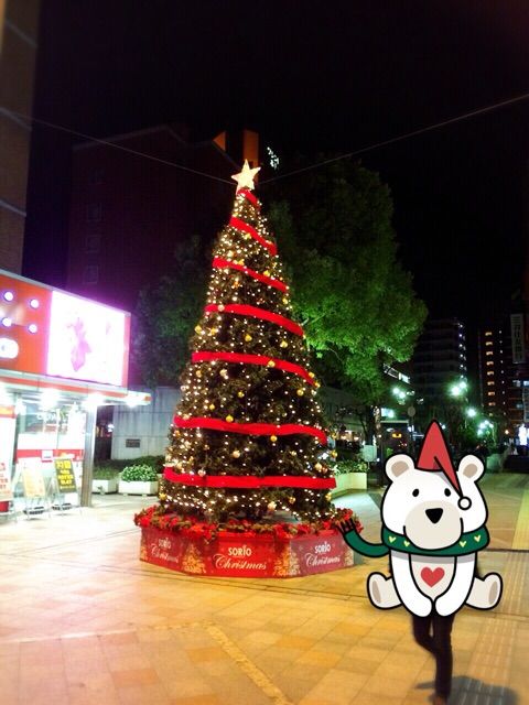 イメージ 5