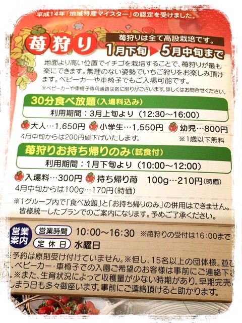 岡垣町のいちごハウス 吉田苺園 ぐぅぐぅみほの七色日記