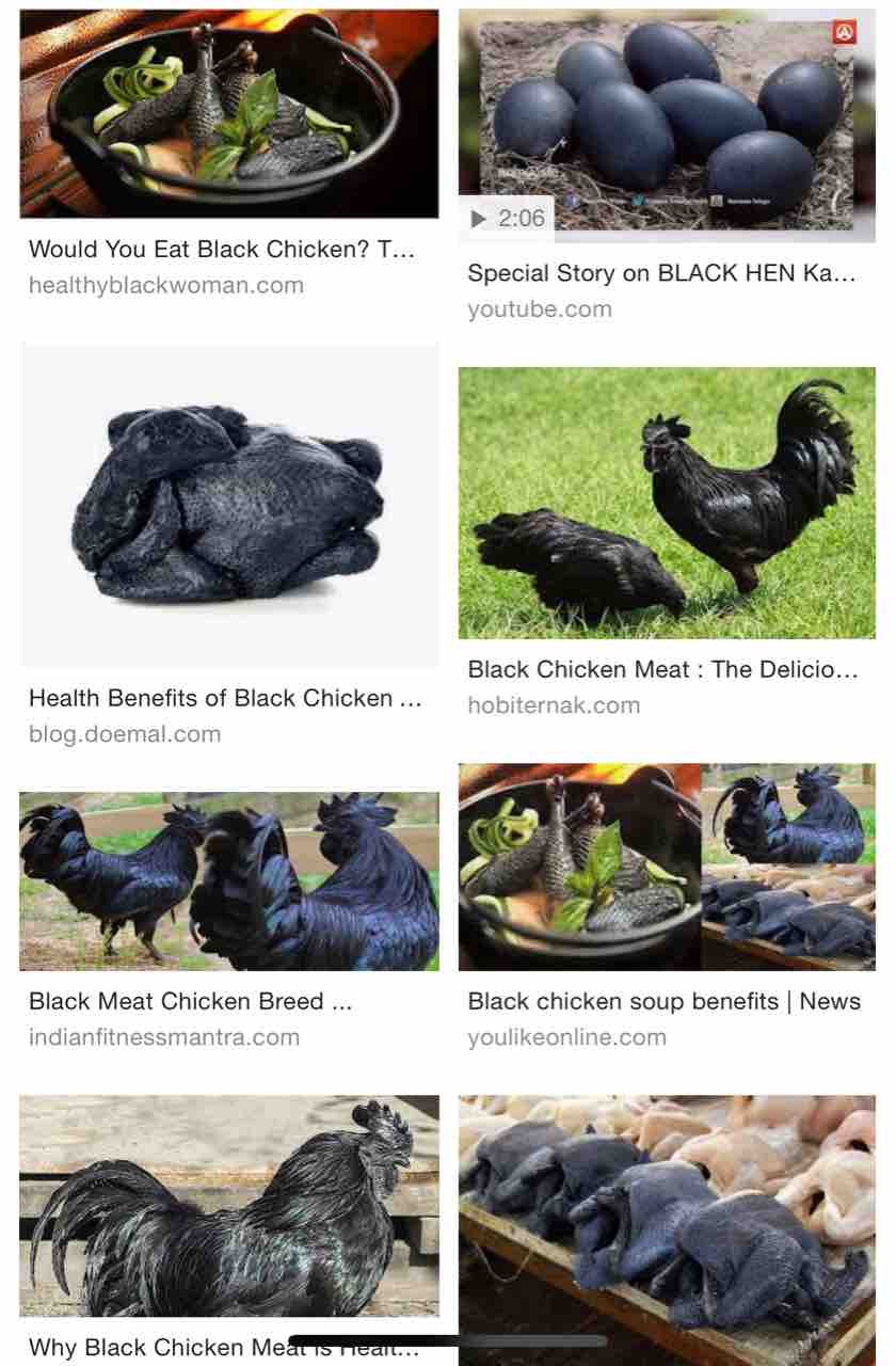 シンガポールろーかるらいふ 黒い鶏は卵や皮膚も黒い