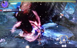 獰猛イビルジョーvs毒片手くのいち 雨天決行 In The New World