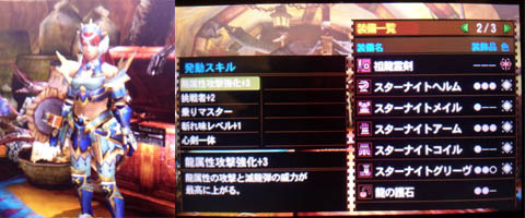 スターナイトvsダラ アマデュラ亜種 雨天決行 In The New World