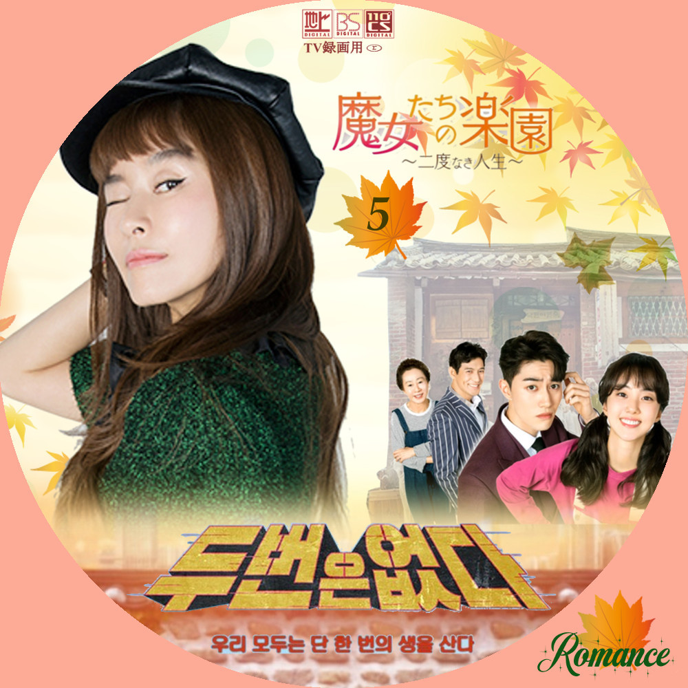 魔女たちの楽園 レンタルDVD 韓国ドラマ 全巻セット