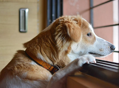 スクリーンショット 2022-05-07 085701