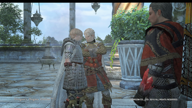 Ddonドラゴンズドグマオンライン プレイ日記 55 アークふたたび ばすたーどそーど