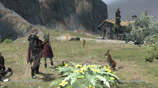 Ddonドラゴンズドグマオンライン プレイ日記 6 鈍色のアーク ばすたーどそーど Ddonドラゴンズドグマオンライン プレイ日記 6 鈍色のアーク ばすたーどそーど