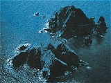 2019-1208