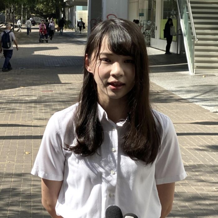 香港区議会選挙結果 2010 3 パラノイア