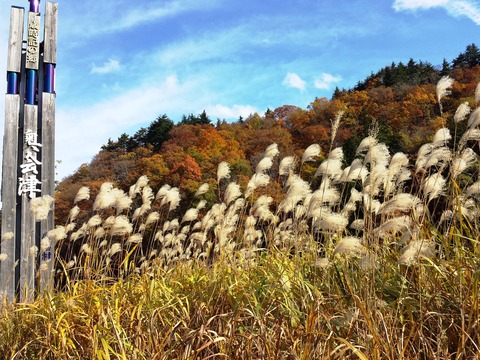 奥会津の紅葉４