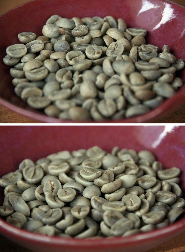 珈琲生豆のチャフの除去・・その1 : 珈琲と木工の時間 ~工房 楽~