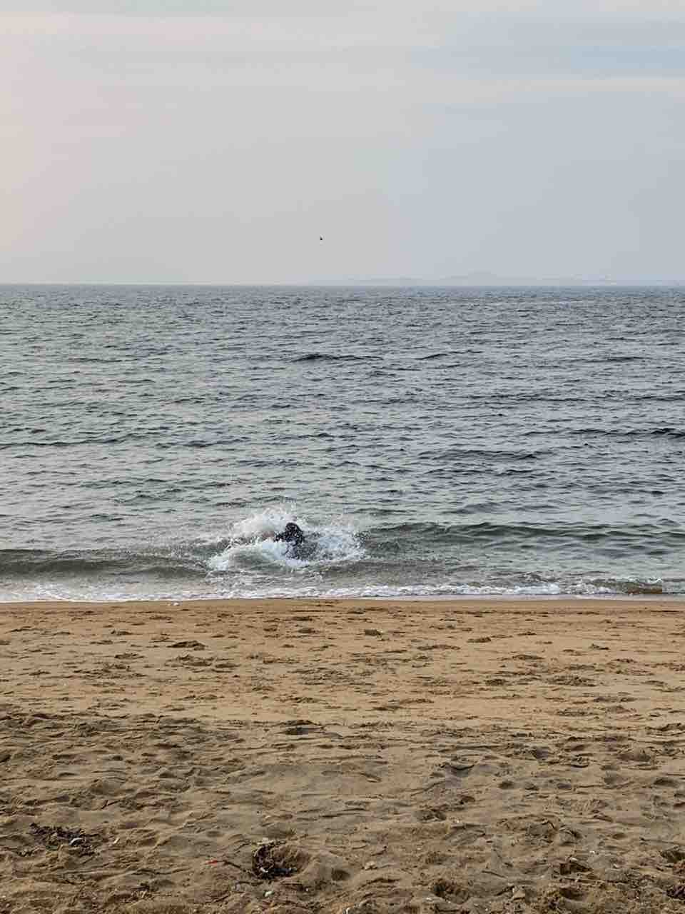 ほんまにやるとは思わなんだ Rakudai19のblog