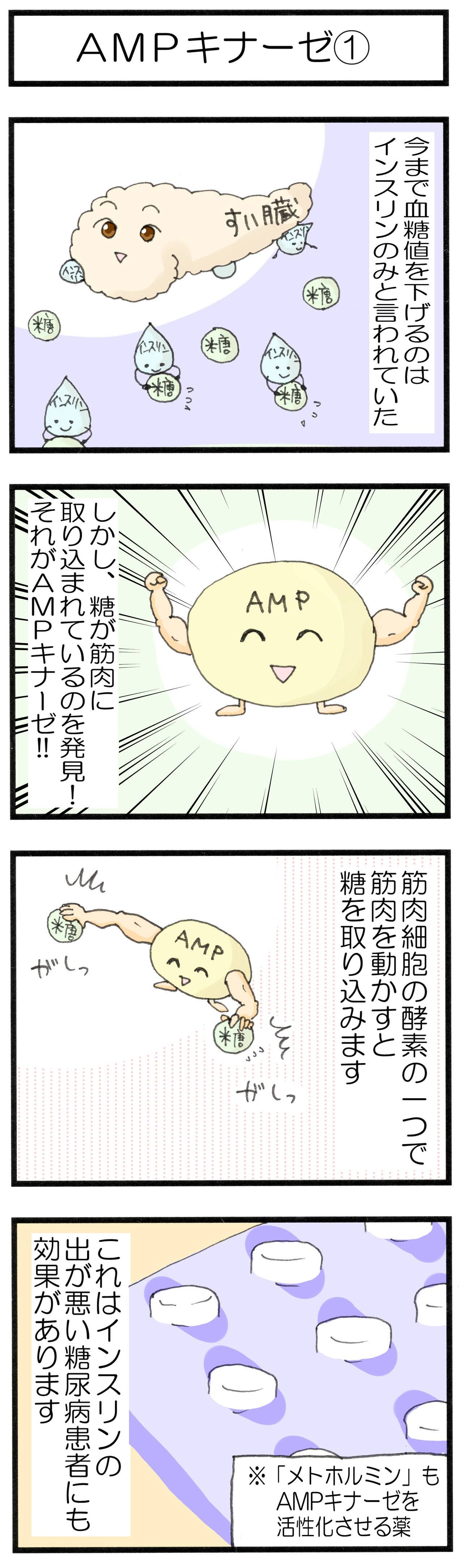 血糖値を下げる新たなる方法 Ampキナーゼとは 糖尿病になってビックリ 糖質制限４コマまんが