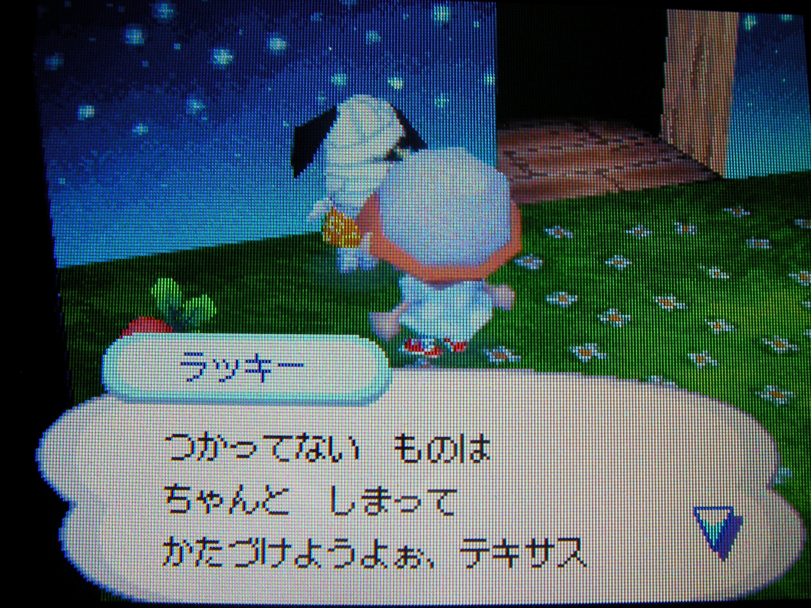 ラッキー訪問 どう森 再 あなろぐ日記