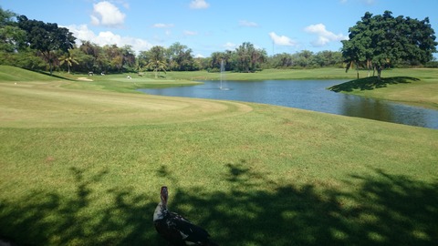 Ko olina