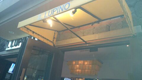 IL LUPINO