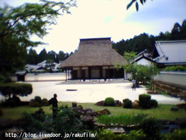 春の雪 円照寺 映画プロデューサー前田茂司