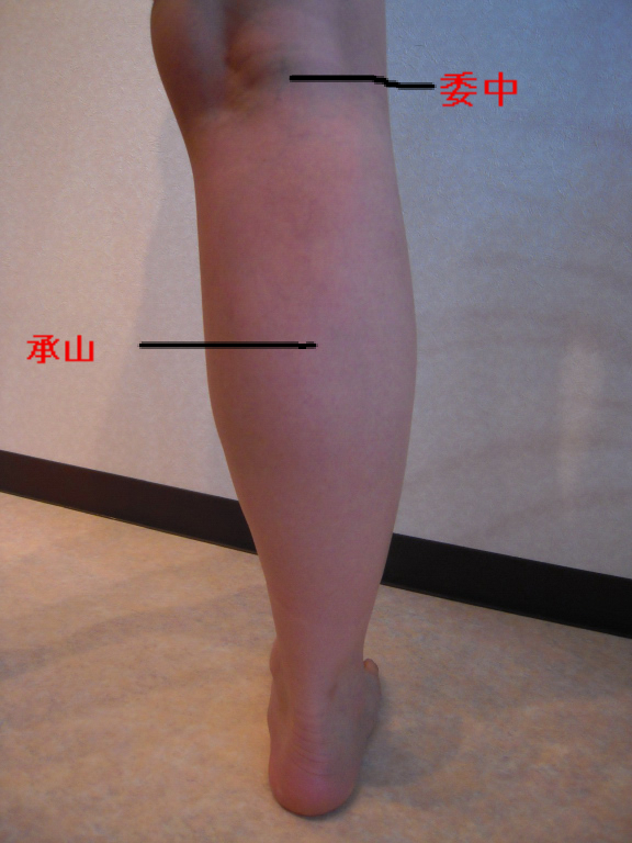 むくみに有効なツボ 海老名 整体院 楽の種 クロさんのカルテ