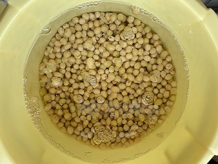 o2dcb0b784a755a9434dcefd43f334b54_37619885_190515_0071