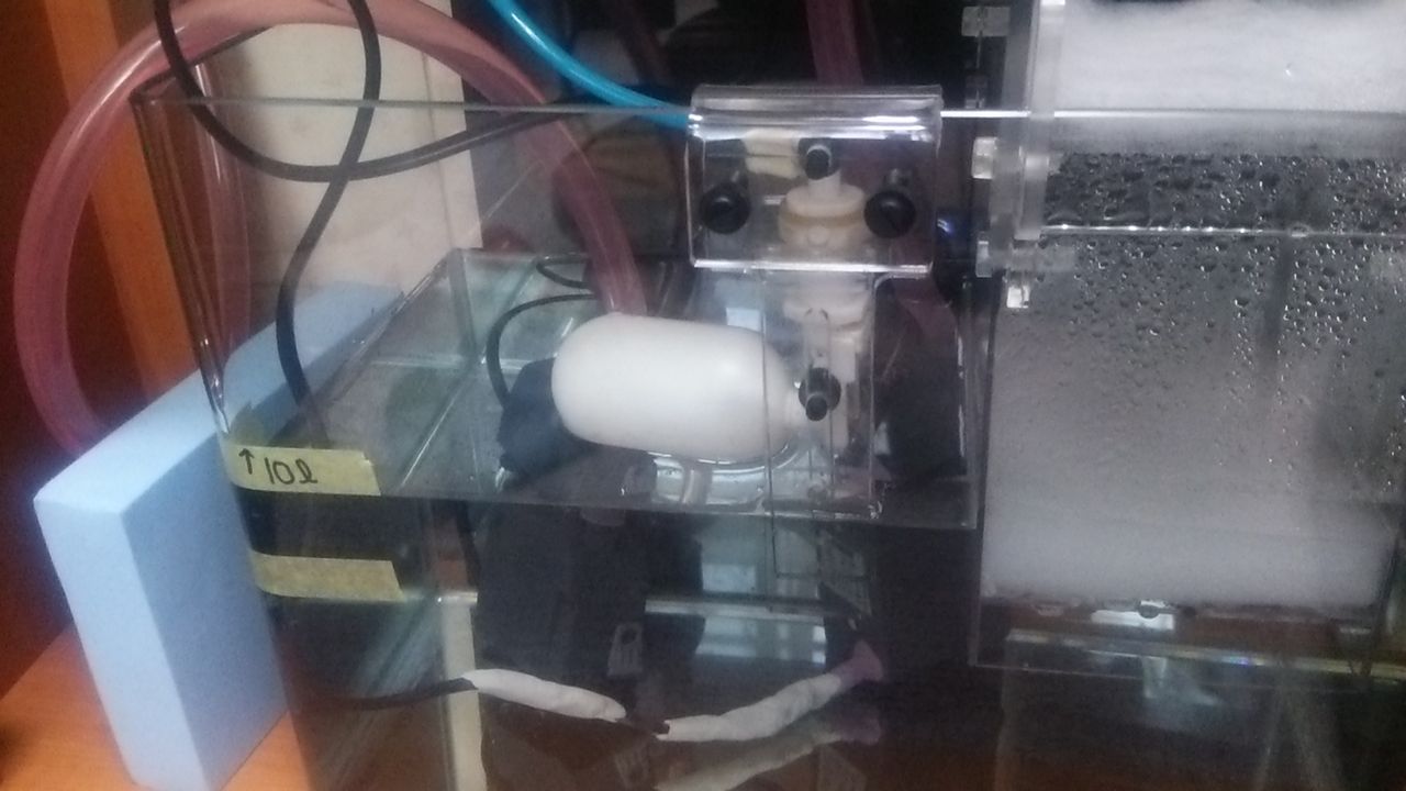 フロート式自動給水器完成 楽して海水魚16