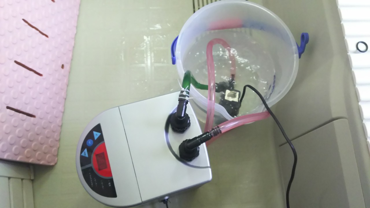 ゼンスイzr Miniのクエン酸洗浄 楽して海水魚16