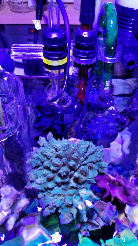 20180402_194845