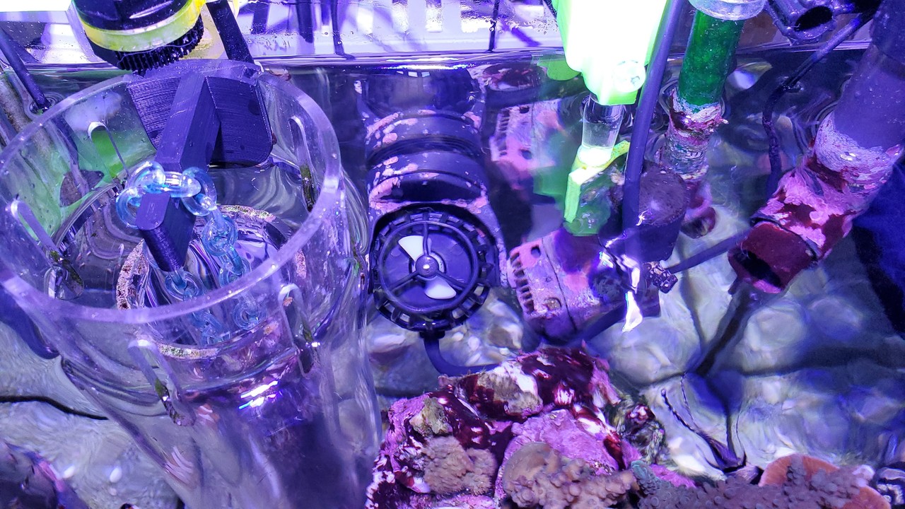 水流ポンプの選択 楽して海水魚16