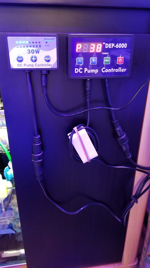 DEP-6000の流量検証 : リ楽ックスして海水魚