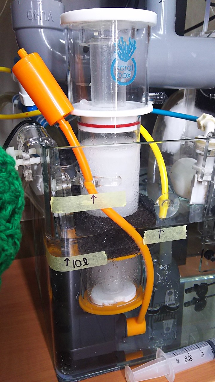 さっそくCoral Box S150の使用感を : リ楽ックスして海水魚