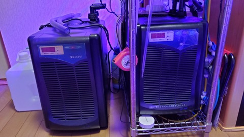 ゼンスイzr130 Eを内部洗浄 楽して海水魚16