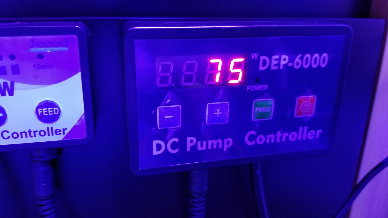 DEP-6000の流量検証 : リ楽ックスして海水魚 DEP-6000の流量検証 : リ楽ックスして海水魚