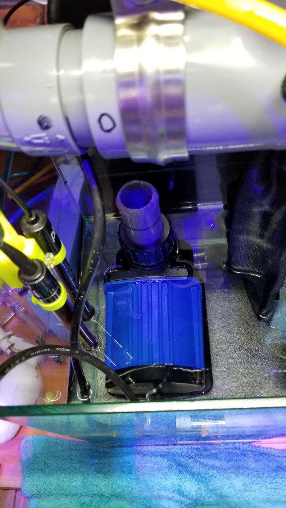 DEP-6000の流量検証 : リ楽ックスして海水魚 DEP-6000の流量検証 : リ楽ックスして海水魚