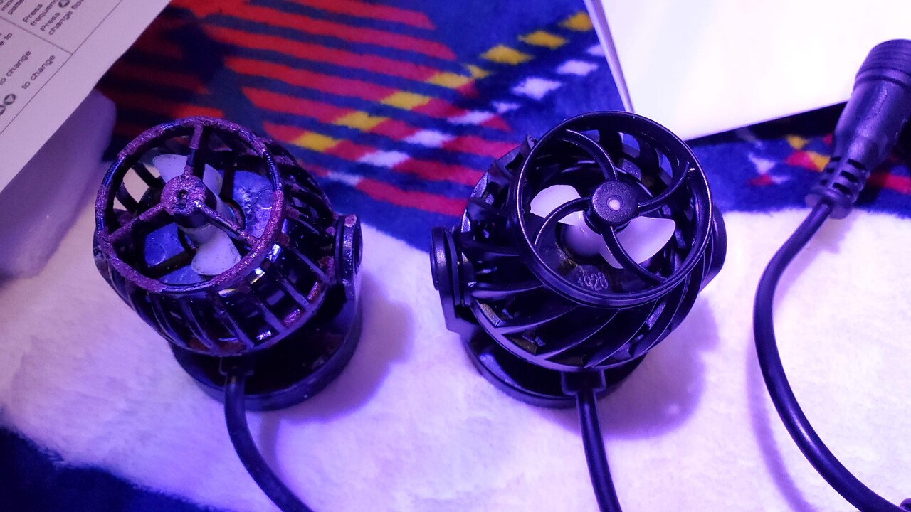 Coral Box Quiet Pump QP-5Plus : リ楽ックスして海水魚