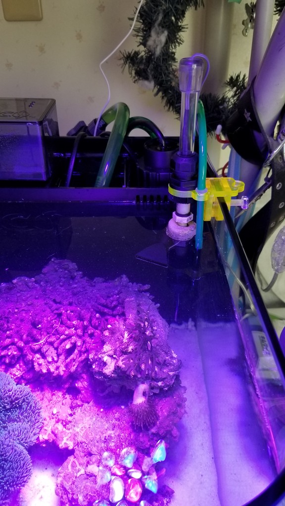 自動給水器の失敗 楽して海水魚16