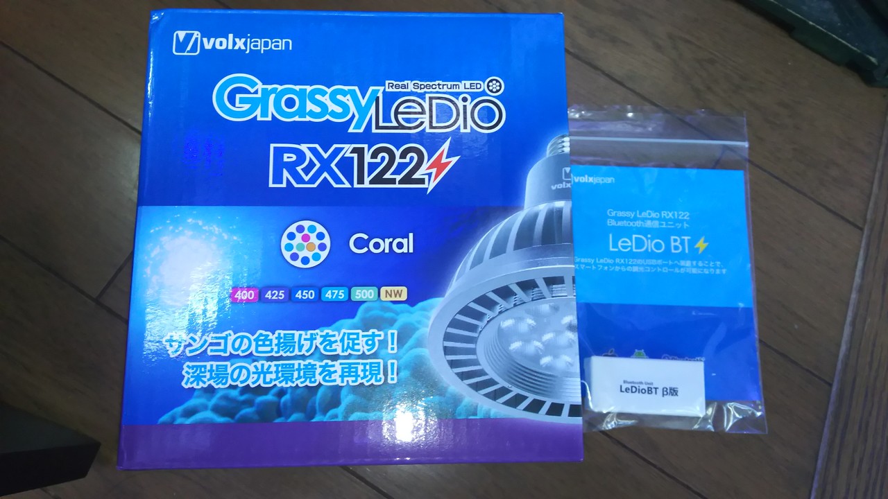 グラッシーレディオrx122コーラル 楽して海水魚16 グラッシーレディオrx122コーラル 楽して海水魚16