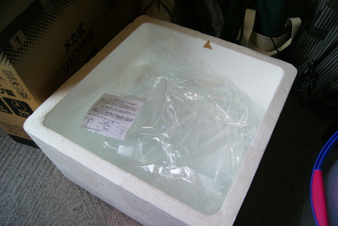 DSC01711