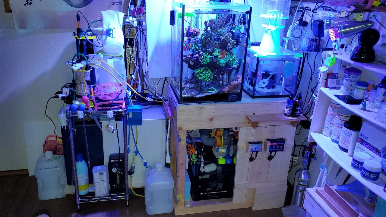 檜製ラック 楽して海水魚16 檜製ラック 楽して海水魚16