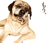 grdr0000310666_0010820217_13[1]