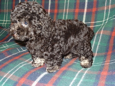 DSC04708 - コピー