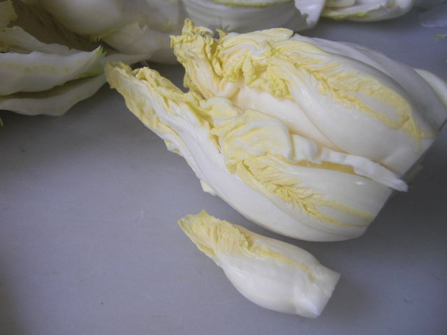 野菜で季節を知る マスターブログ