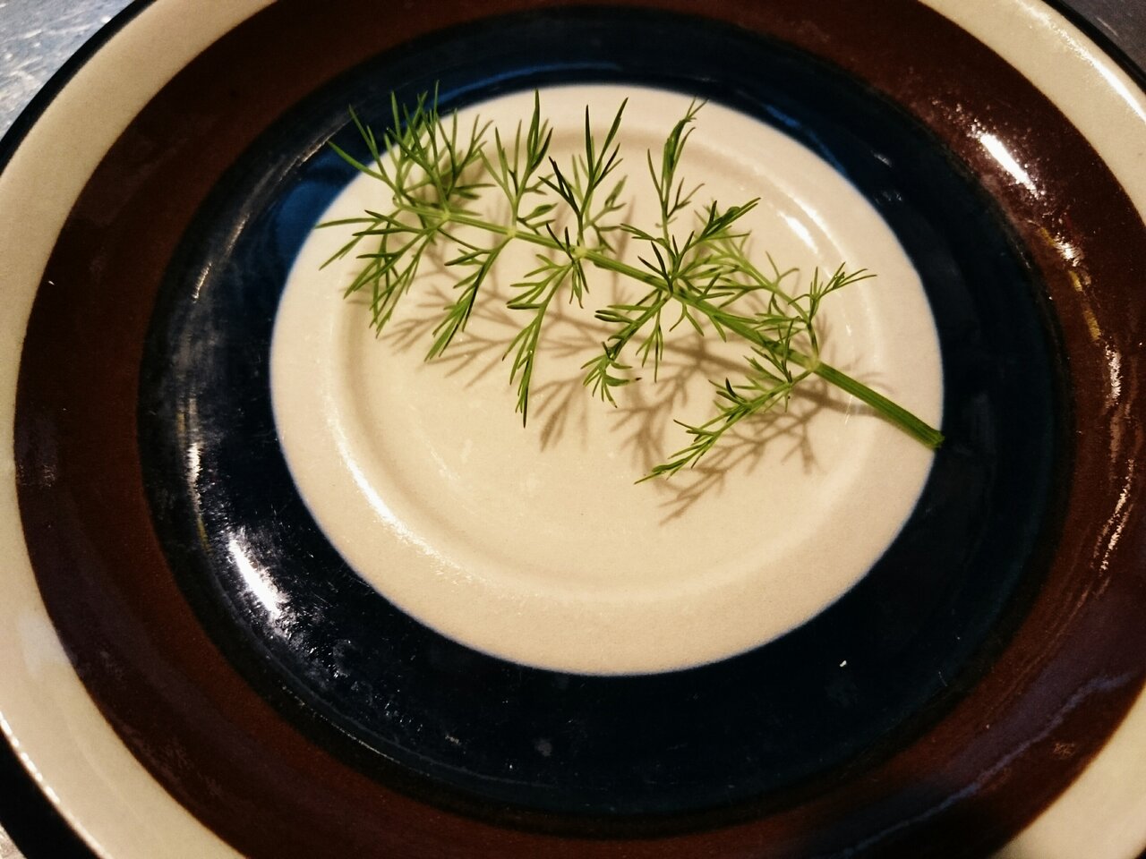 勝手に北欧ハーブのディル プチ収穫 下関にも北欧雑貨 Rallissaの日々