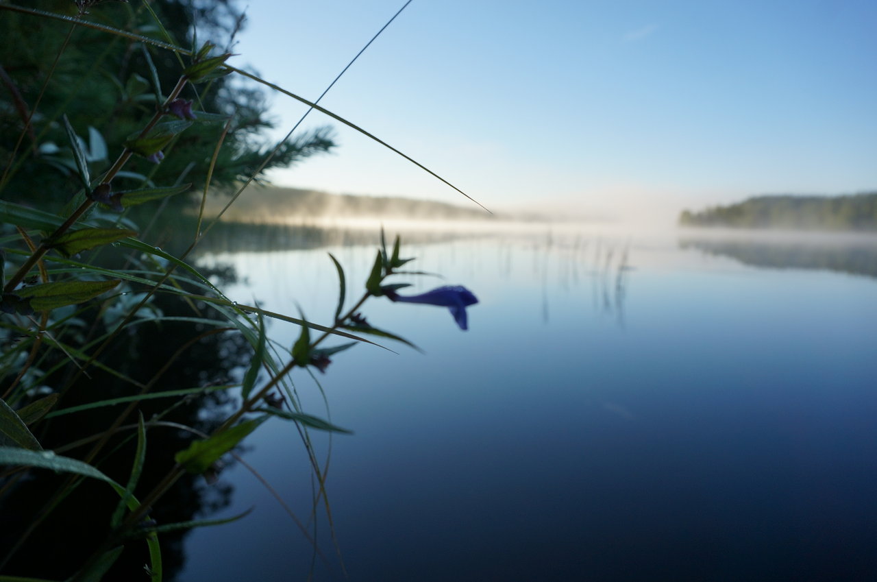フィンランドの水滴 下関にも北欧雑貨 Rallissaの日々