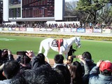 マシュマロ