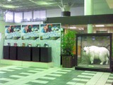 東京支部選手ヘルメット展示中