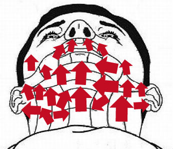 Guidance For Wet Shaving 7 両刃ホルダーで剃る Shave Ready Guidance For Wet Shaving 7 両刃ホルダーで剃る Shave Ready