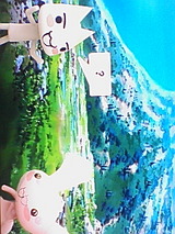 007b37b8.jpg